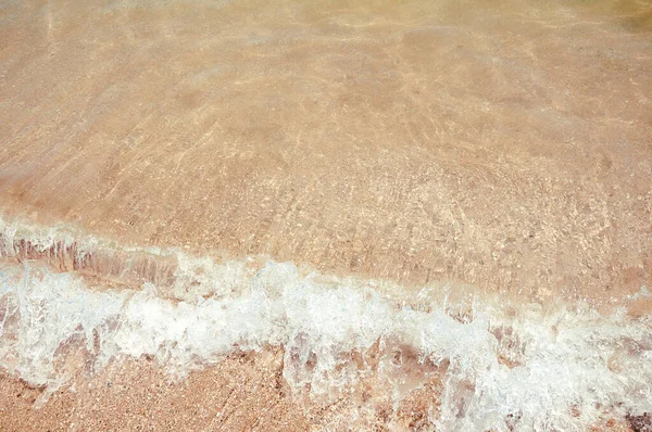 Πανέμορφη Θέα Κοντινό Πλάνο Ακτή Ωκεανού Καλοκαιρινό Μοτίβο Από Κοχύλια — Φωτογραφία Αρχείου