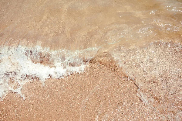 Vista Superior Seashells Shell Close Costa Oceano Padrão Verão Conchas — Fotografia de Stock