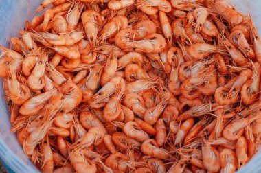 Bu fotoğraf plastik kovadaki haşlanmış karidesi tasvir ediyor. Kaynamış karidesin arka planı.