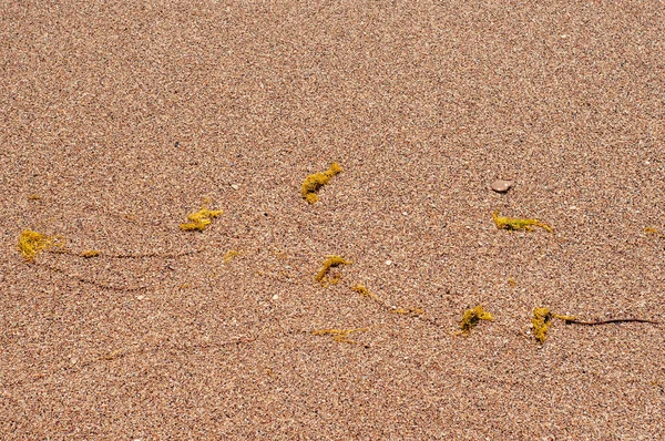 Esta Foto Retrata Imagem Areia Textura Areia Textura Areia Baixar — Fotografia de Stock