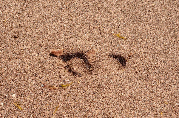 Esta Foto Retrata Imagem Impressão Uma Criança Areia Molhada Praia — Fotografia de Stock