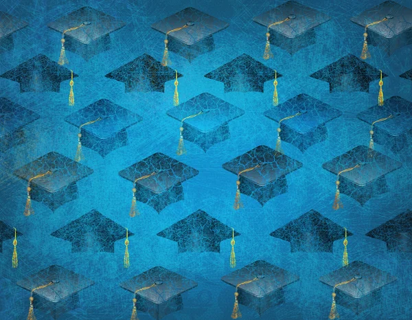 Akademik Arka kapakta.