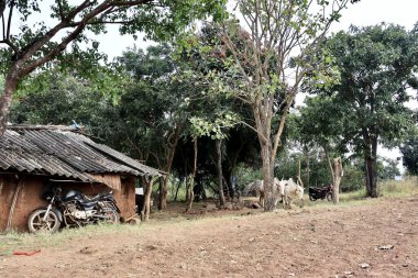 Güney Hindistan 'da köy manzarası. Kakati, Belgaum ya da Belagavi, Karnataka, Hindistan yakınlarında bir çiftlik arazisi varsa ortada bir köy evi..