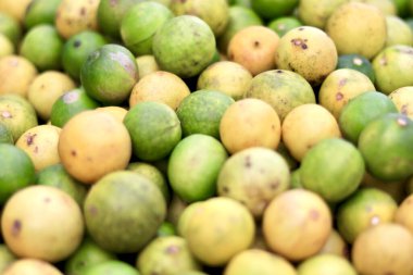 Birkaç limonun seçici odak noktası.