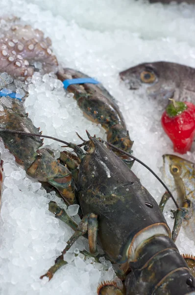 Färsk fisk och skaldjur — Stockfoto