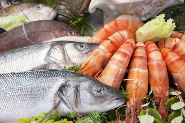 Fresh seafood Stock Image