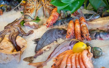 Deniz ürünleri düzenleme