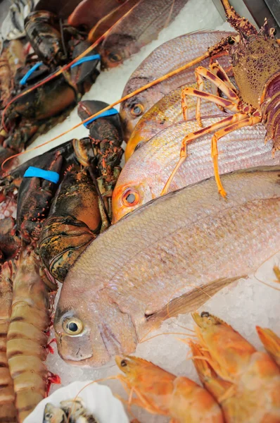 新鮮な魚介類 — ストック写真