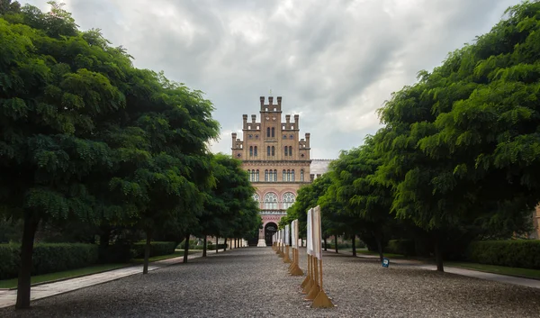 Ukrayna, chernivtsi, üniversite