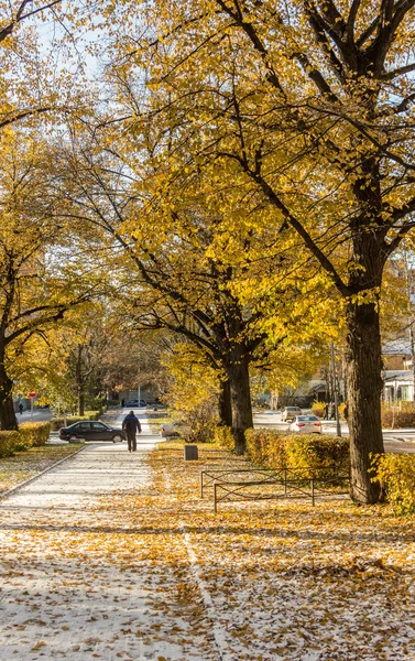 Rusya, vyborg, sonbahar ve kış