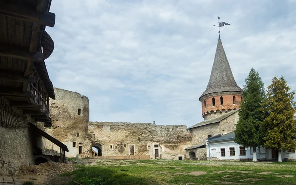 Tony bennett y antonia bennett