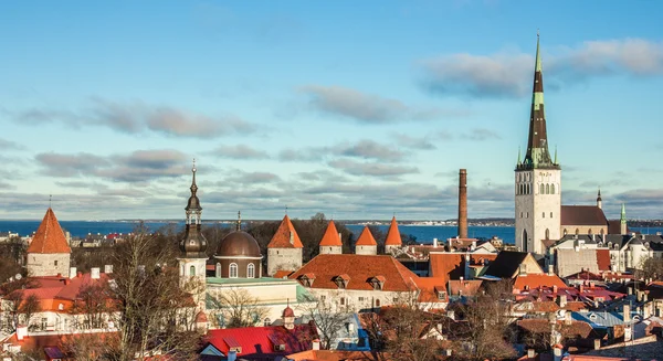 Tallinn, Estonia, Landscape of the Castle — Stock Photo, Image