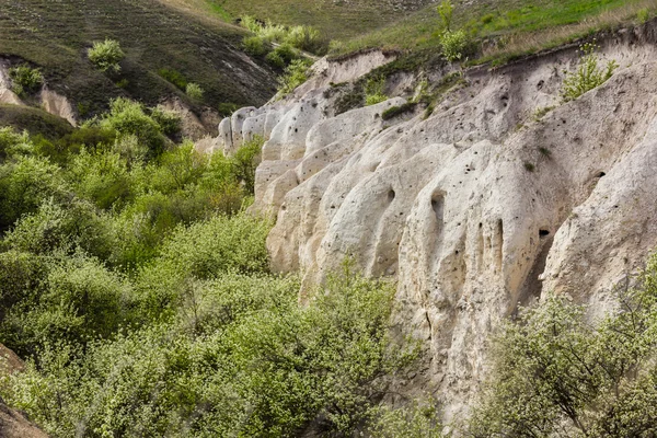 俄罗斯、 divnogorie、 石灰岩峡谷景观 图库图片