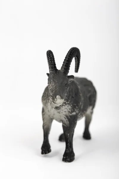 Plastic toy animal ram — Stock Photo, Image