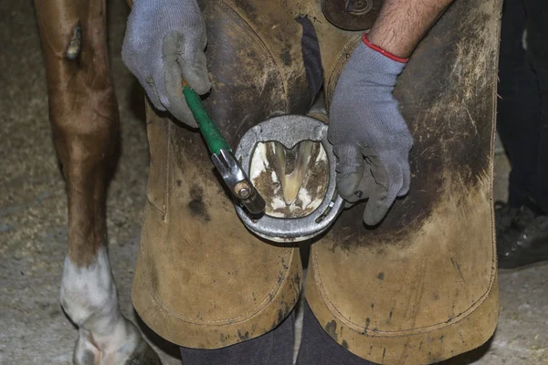 Farrier — Stock Photo, Image