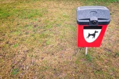 kırmızı köpek park alanındaki yeşil çim üzerinde bin atık.