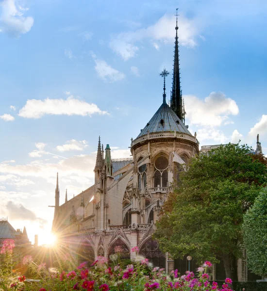 Solnedgång utsikt över notre dame de paris katedralen. — Stockfoto