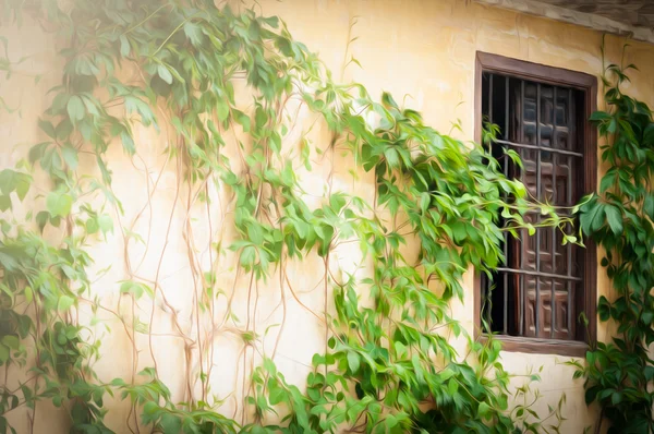 Ściana z zielonych roślin i okno w Hiszpanii, Europa. Obrazek Stockowy