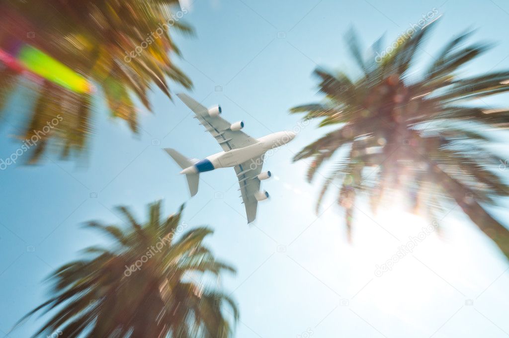 Air plane above palm trees.