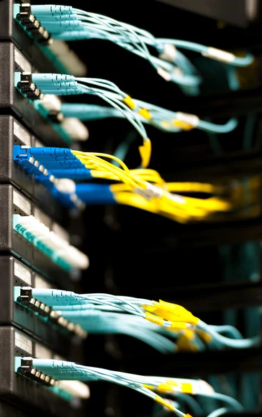 Câbles optiques connectés au panneau dans la salle des serveurs . — Photo