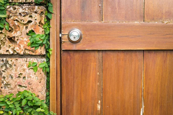 Casa em detalhes: porta e parede com verde . — Fotografia de Stock