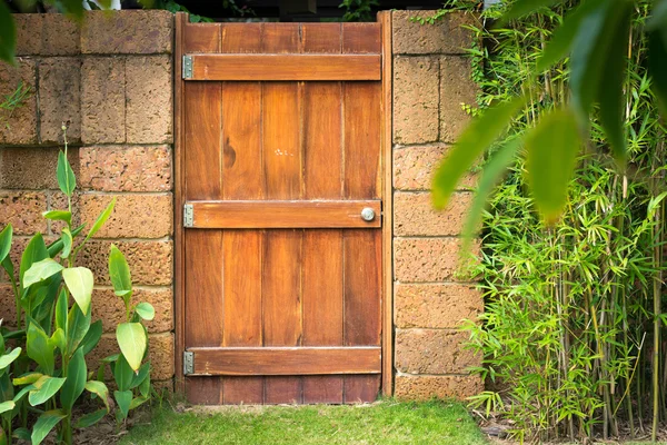 Casa en detalles: puerta y pared con verde . — Foto de Stock