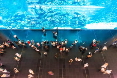 oceanarium dev akvaryum izlemek.