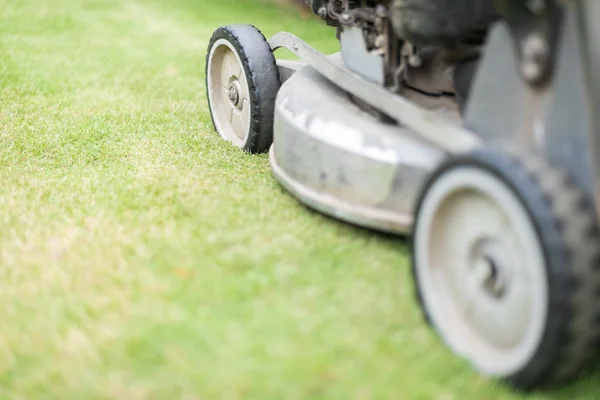 Cutting green grass in yard with lawnmower. — Stock Photo, Image