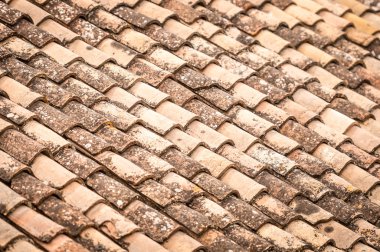 yaprakları ile kiremit çatı ve satır içinde su.