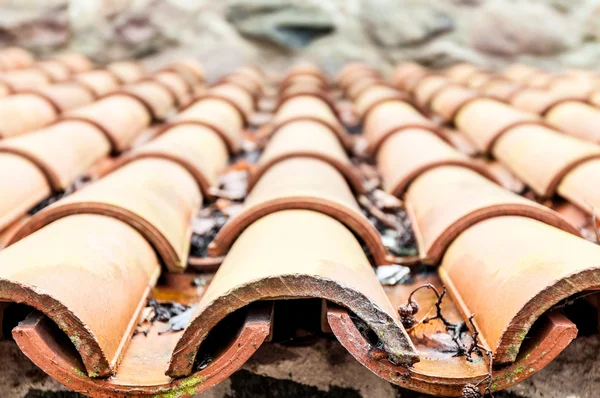 Roof tile with leaves and water in rows. — Stock Photo, Image