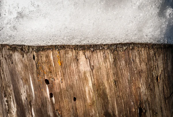 Nature background of stump with snow on it. — Stock Photo, Image