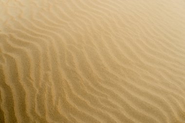 Sand textured background clipart