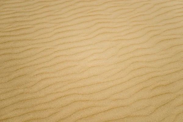 Sand textured background — Stock Photo, Image