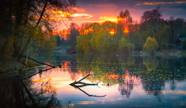 Sunset Forest River Fall Evening Sky Background — Stockfoto