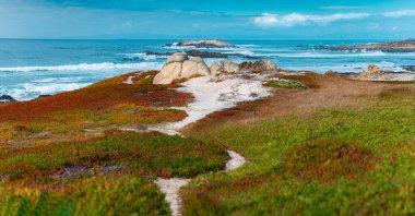 Kaliforniya 'da büyük bir sahil, Amerika Birleşik Devletleri.
