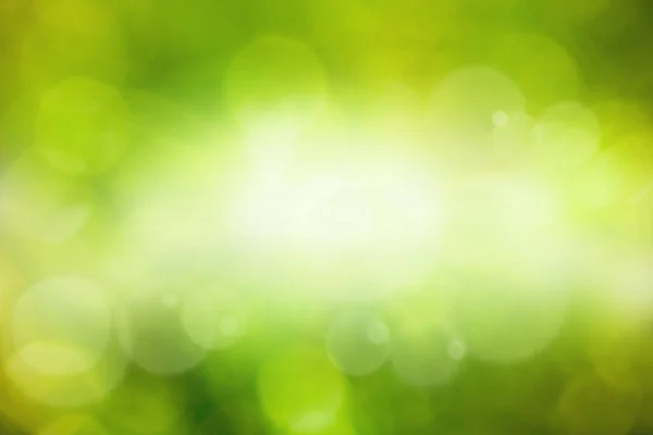 Abstract eco background - green leaves, grass, bright sun — Stock Photo, Image