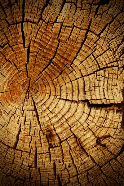 Tablero de madera agrietada — Foto de Stock