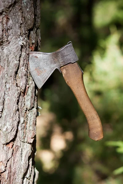 bir ağaca tutunan balta