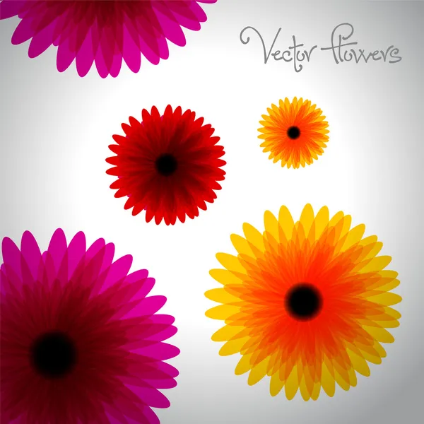 Paper flower on white background — Stock Photo, Image