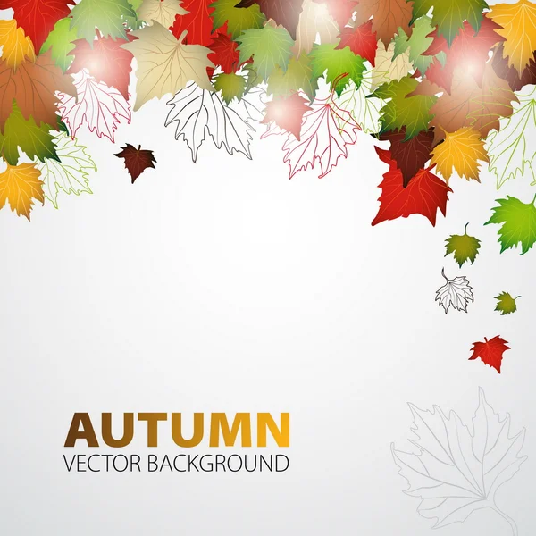 Foglie d'autunno — Vettoriale Stock