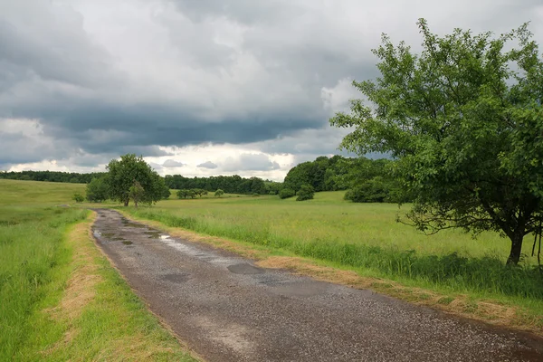 Road in green village field — Stock Photo, Image