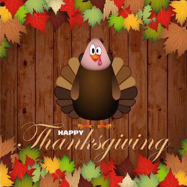 Şükran günün kutlu olsun karikatür Türkiye