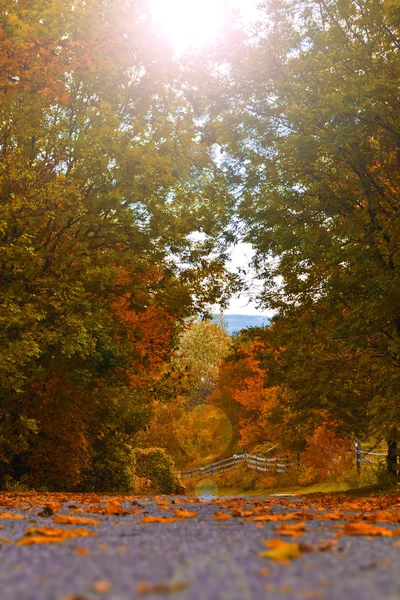 Autumn landscape — Stock Photo, Image