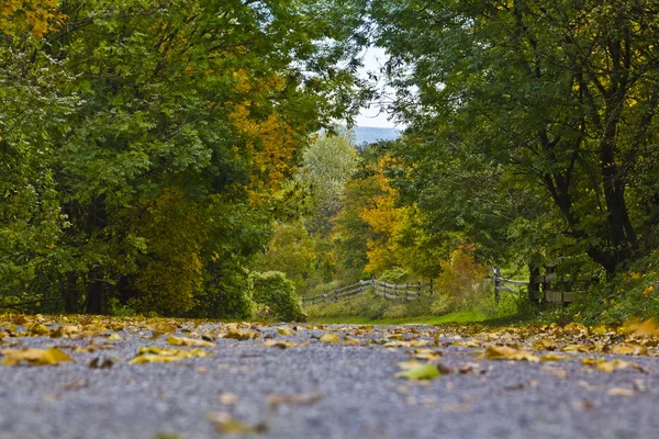 Autumn landscape — Stock Photo, Image