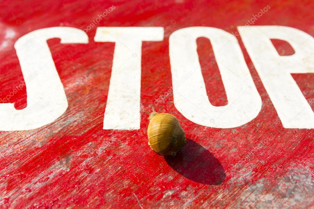 Snail and traffic sign