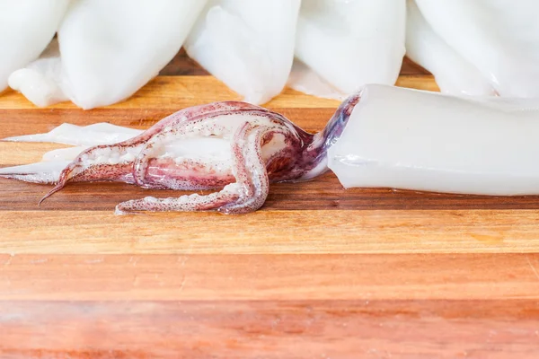 Close up of squid — Stock Photo, Image
