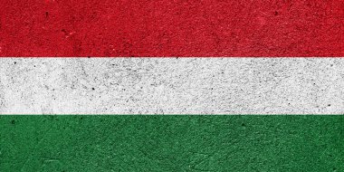 Alçılı duvarda Macaristan bayrağı