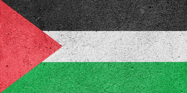 Flag Palestine Plaster Wall — Stock Photo, Image