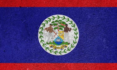 State flag of Belize on a plastered wall