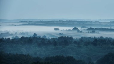 Panoramic shot of picturesque countryside landscape with fields and forests in a hilly area in summer on an early foggy morning